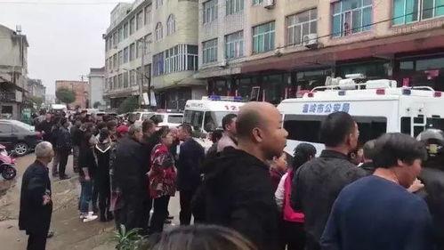 新河中学爆料案件最新,真相大白,校园安全再引关注!”